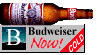 Budweiser NOW!
